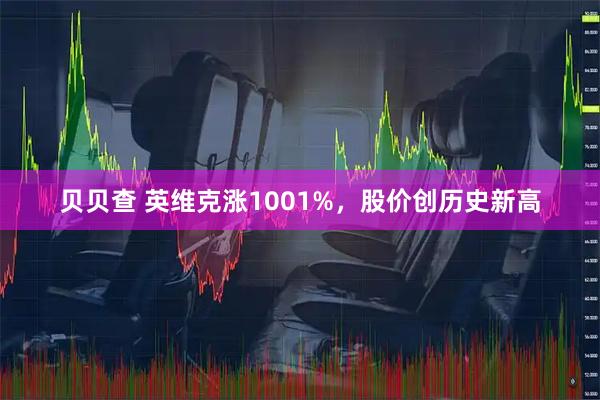 贝贝查 英维克涨1001%，股价创历史新高