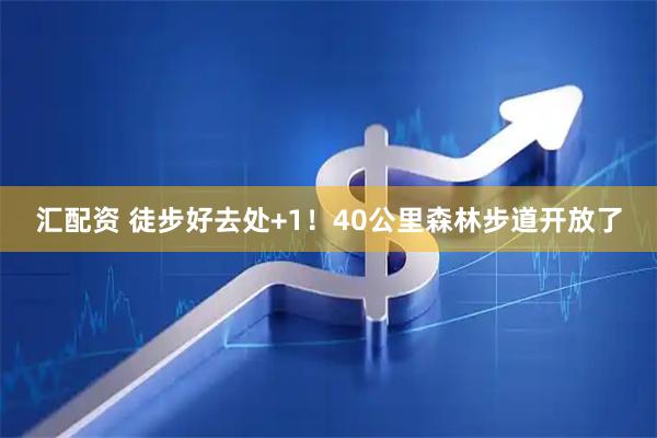 汇配资 徒步好去处+1！40公里森林步道开放了