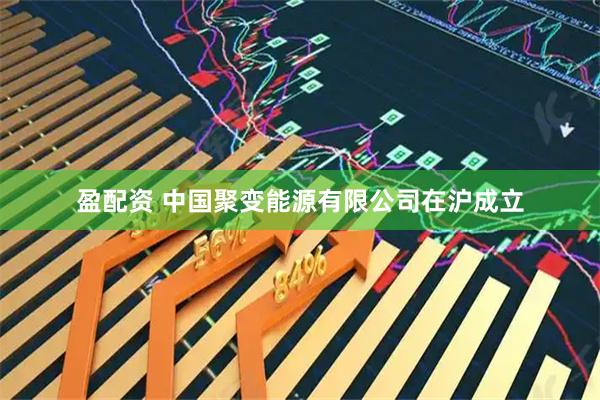 盈配资 中国聚变能源有限公司在沪成立